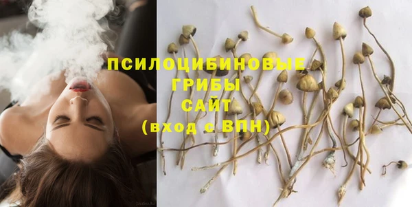 дурь Алзамай