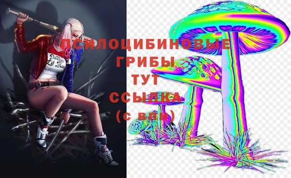бошки Абдулино