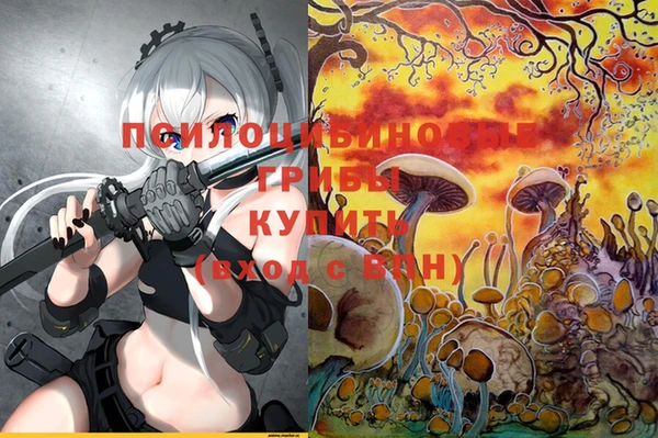 герыч Алексеевка