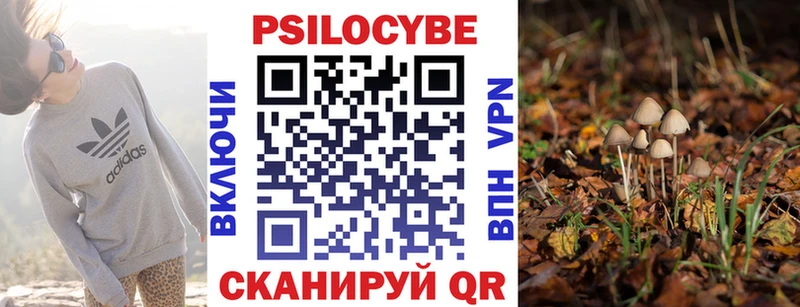 продажа наркотиков  Красноармейск  Псилоцибиновые грибы GOLDEN TEACHER 